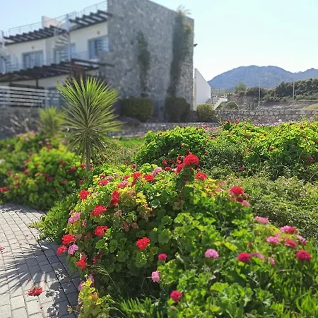The Dragon - Seaview Penthouse With Private Terrace Cirénia